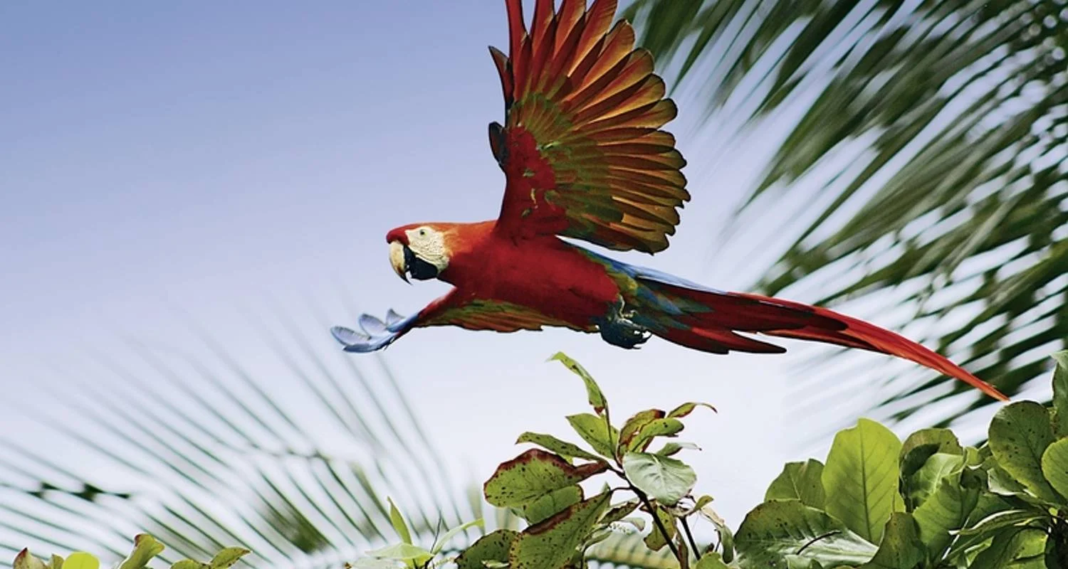 Explore Best of Costa Rica for 12 days with DERTOUR and discover unforgettable experiences - Photo 2