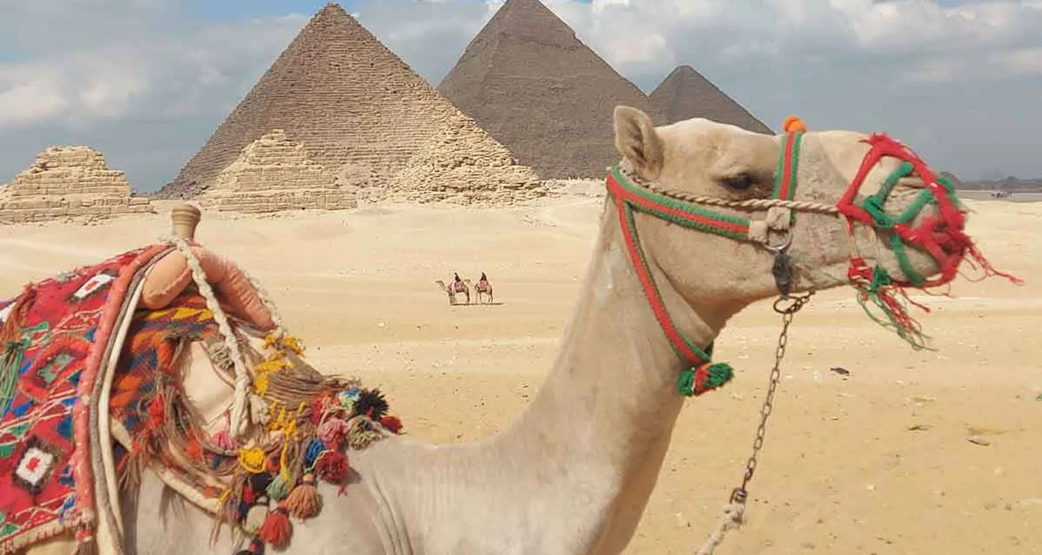 Explore Egypt: Private 5-Day Tour, Nile Cruise, Flights & Balloon for 5 days with Egypt Tours USA and discover unforgettable experiences - Photo 2