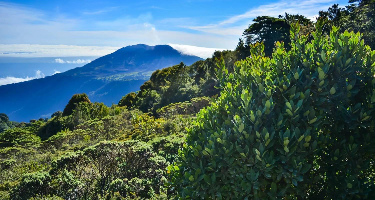 Explore  for 7 days with Receptivo Aborigen Tours and discover unforgettable experiences - Photo 2