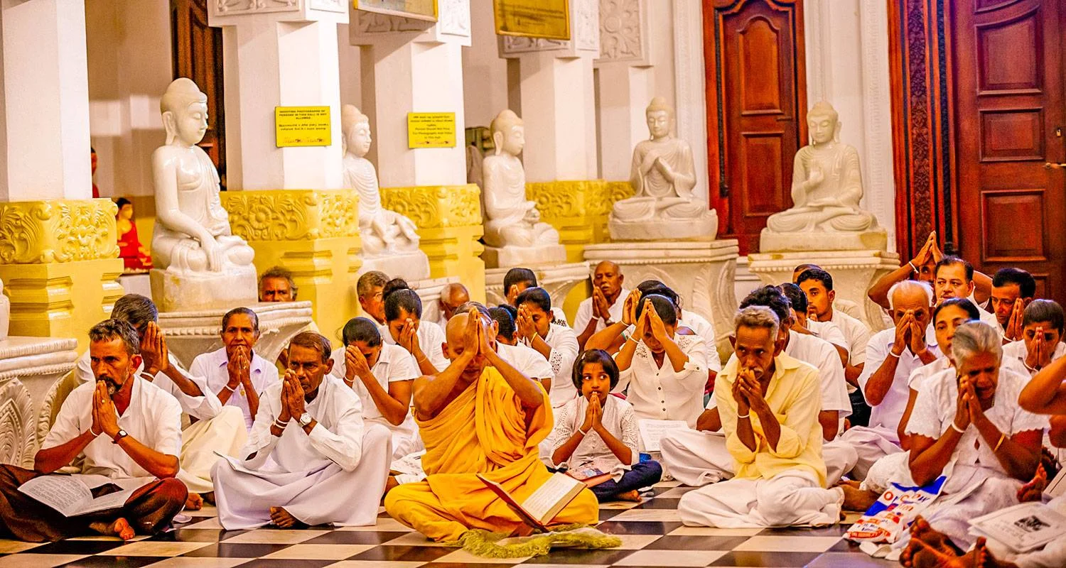 Explore Tailor-Made 8 Days Sri Lanka Train Tour with 4-stars Hotels, Daily Depart & Private Guide for 8 days with Agate Travel and discover unforgettable experiences - Photo 2