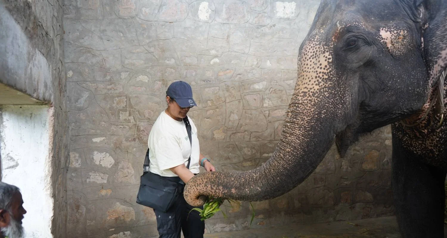 Explore Vloggers Tour for 5 days with BeMetravels  and discover unforgettable experiences - Photo 2