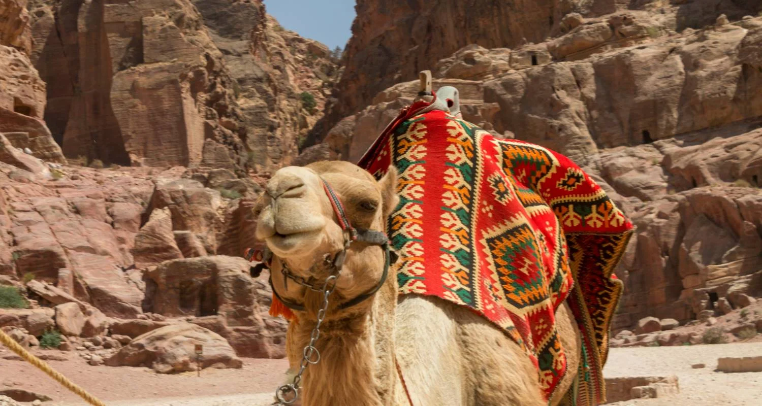 Explore HURGHADA DESERT BEDOUIN VILLAGE JEEP SAFARI Across the Sands of  the Red Land for 1 days with Experience Egypt Tours and discover unforgettable experiences - Photo 2