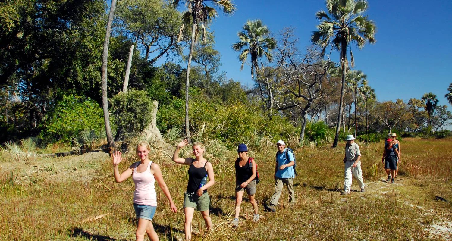 Explore 16 Day Botswana Pioneer (Camping) for 16 days with Drifters Adventure Tours and discover unforgettable experiences - Photo 2
