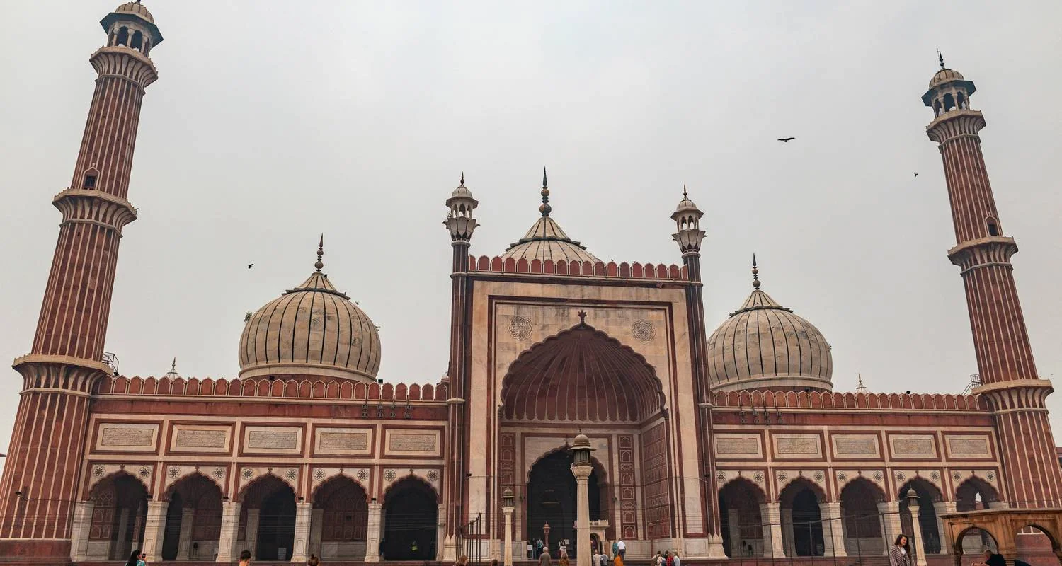 Explore 11D Splendid India Golden Triangle Tour: Delhi, Agra, Jaipur, Jodhpur, Udaipur, with a Thrilling Tiger Safari for 11 days with Coxan Tours and discover unforgettable experiences - Photo 3