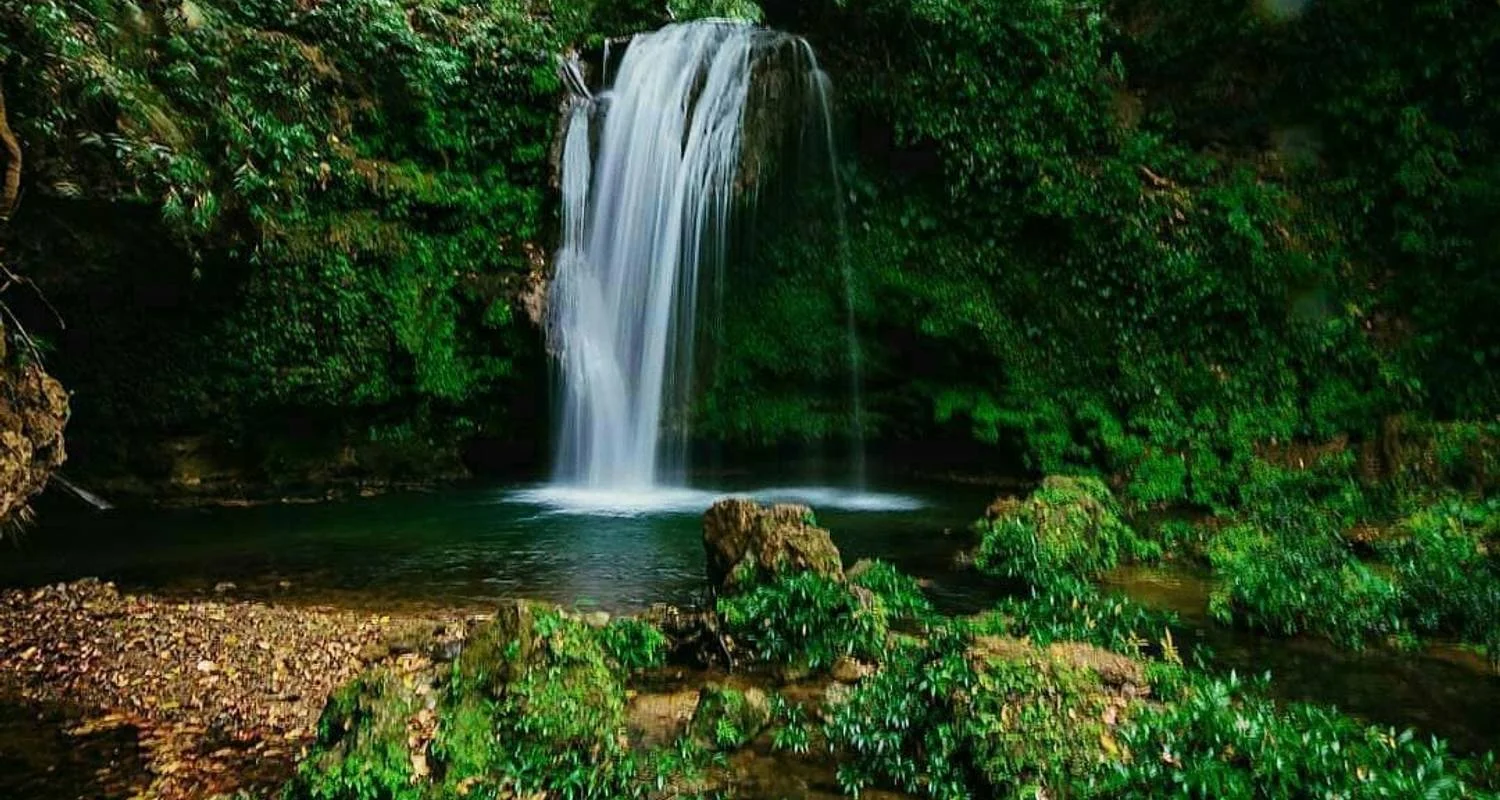 Explore Roar and Reverie: Corbett Tiger Reserve Escapade from Delhi for 3 days with Agora Voyages OPC Pvt Ltd and discover unforgettable experiences - Photo 2