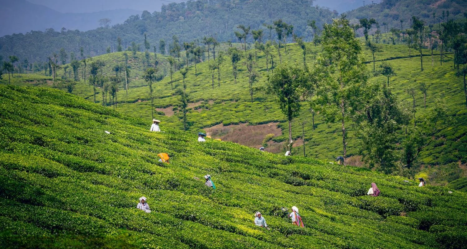 Explore Enchanting Coimbatore: A Cultural Expedition for 3 days with Agora Voyages OPC Pvt Ltd and discover unforgettable experiences - Photo 2