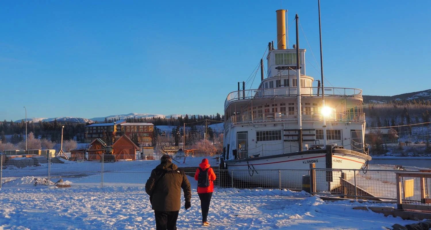 Explore Best Value Aurora Viewing | Yukon Wildlife Viewing for 4 days with Arctic Range Adventure and discover unforgettable experiences - Photo 2