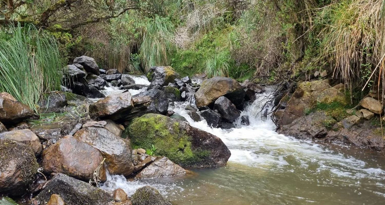 Explore 12 Days Andean Adventure: Traversing Ecuador's Icons and Hidden Gems for 12 days with Responsible Travel South America and discover unforgettable experiences - Photo 2