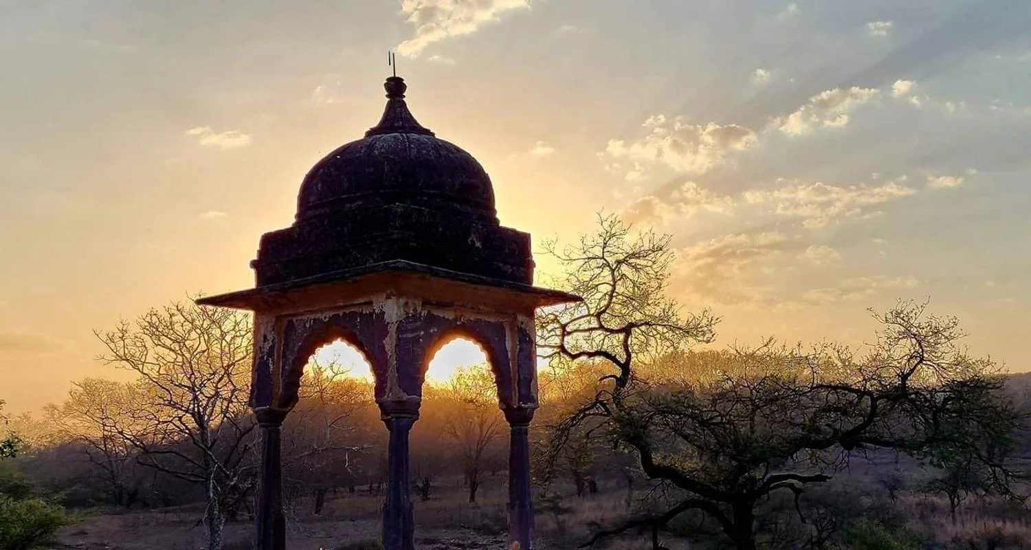 Explore North India Desert Expedition for 11 days with BeMetravels and discover unforgettable experiences - Photo 2