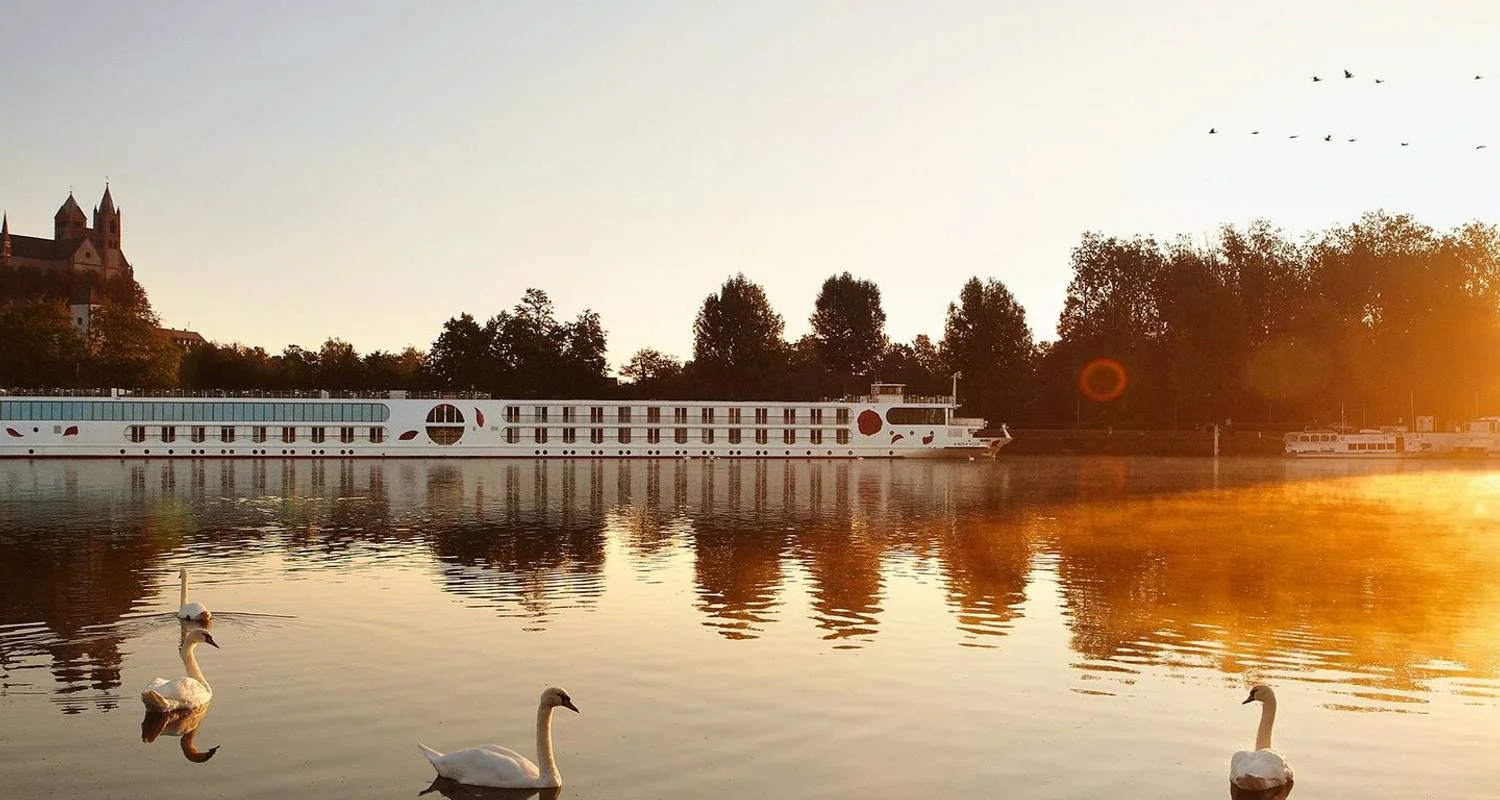 Explore Southern Rhine Nature Experience 2026 for 8 days with A-ROSA and discover unforgettable experiences - Photo 2