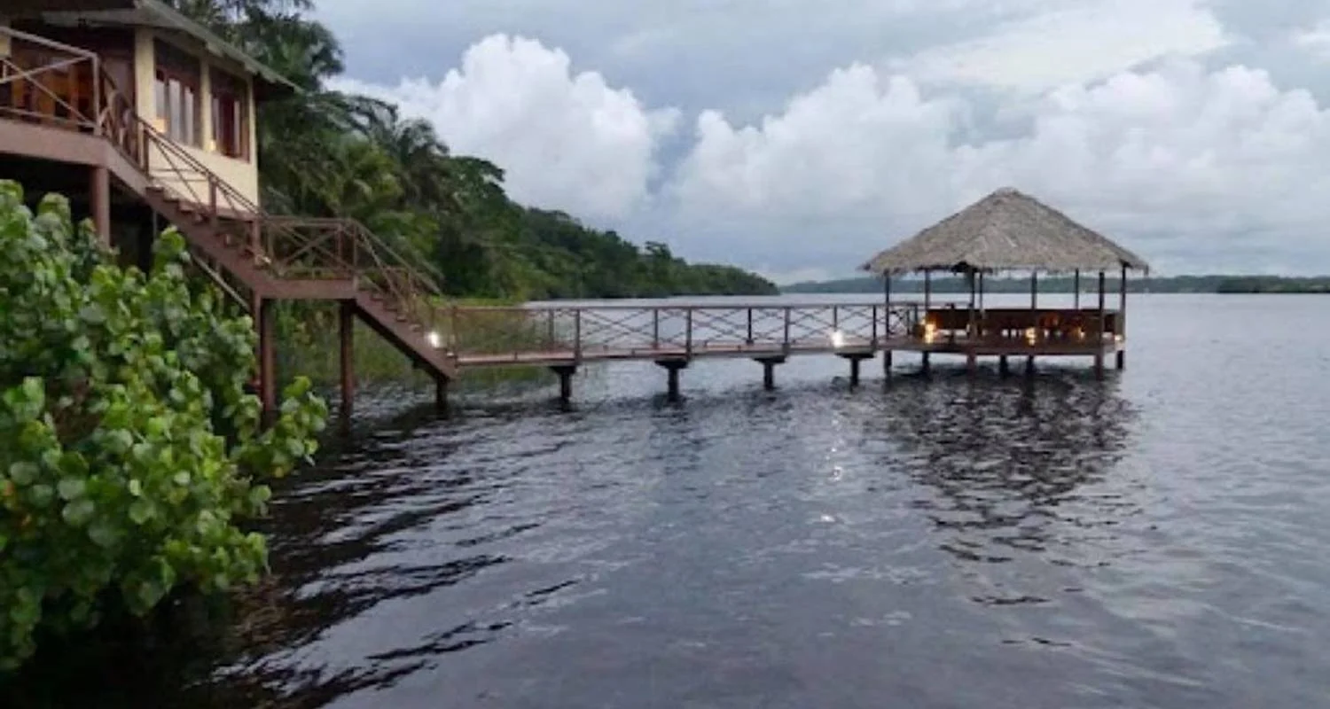 Explore Gabon: Gorillas and More, 5 Days for 5 days with Continent Tours and discover unforgettable experiences - Photo 2