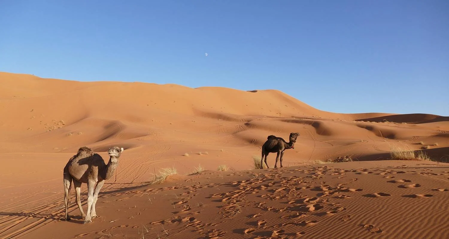 Explore Road Of Thousand Kasbah 9 Days Tour for 9 days with Easygo Tours and discover unforgettable experiences - Photo 2