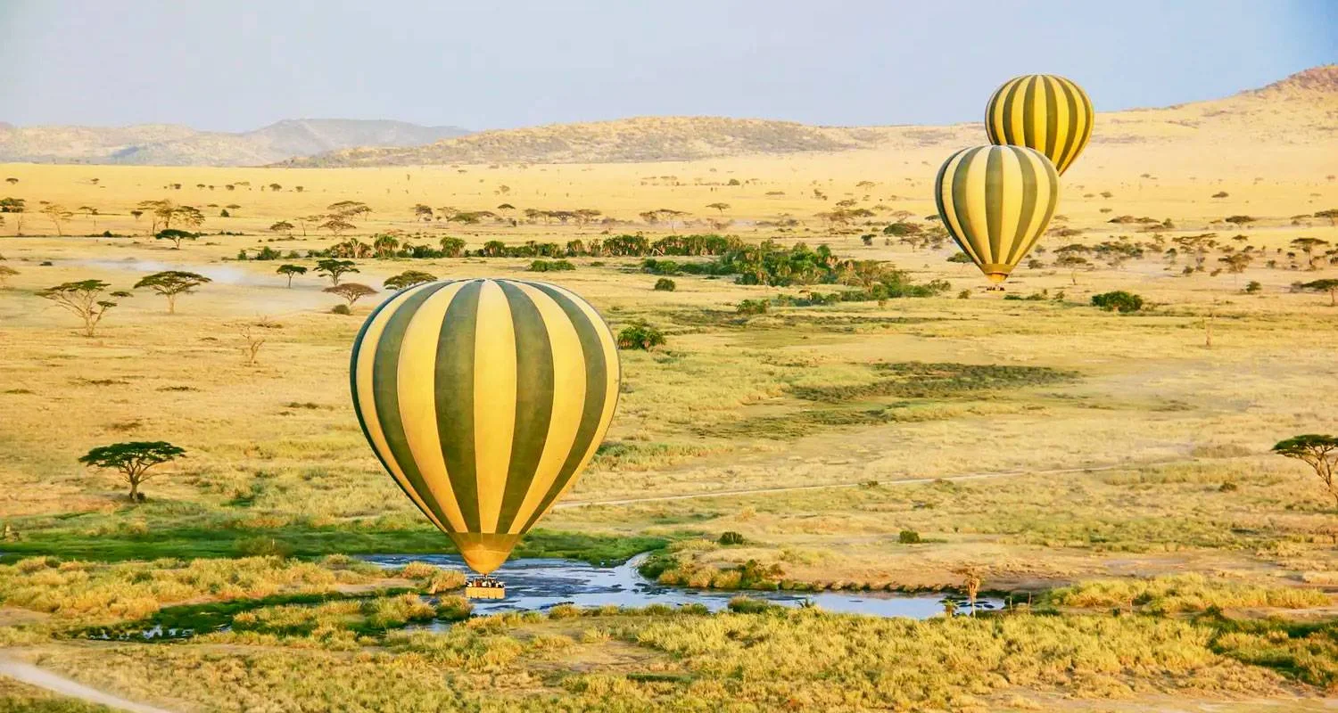 Explore Tailor-Made 11 Days Private Tanzania & Zanzibar Adventure, Daily Departure for 11 days with Agate Travel and discover unforgettable experiences - Photo 2