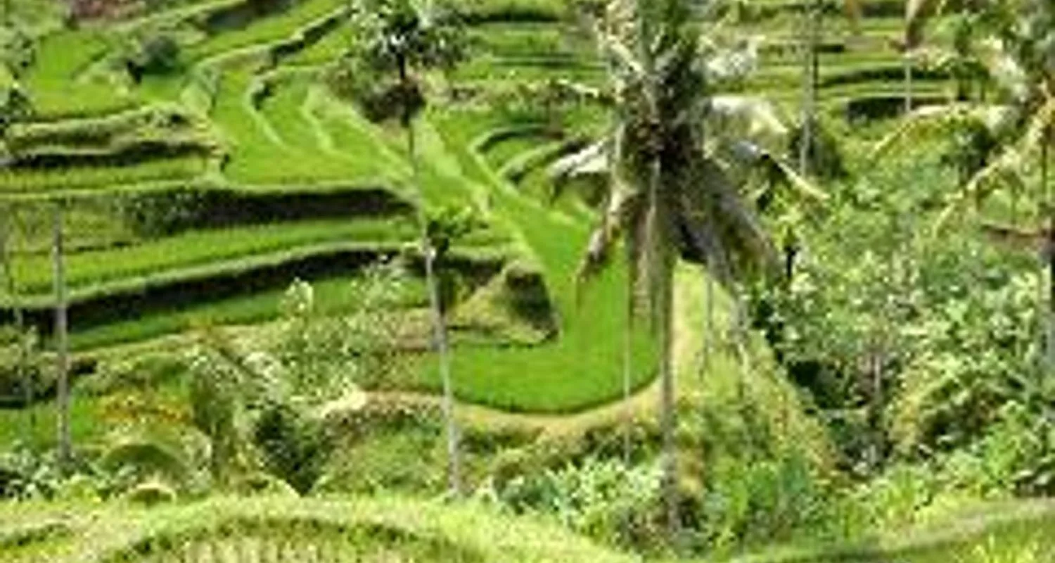 Explore Bali - Island of Inspiration for 9 days with Discover Corps and discover unforgettable experiences - Photo 2