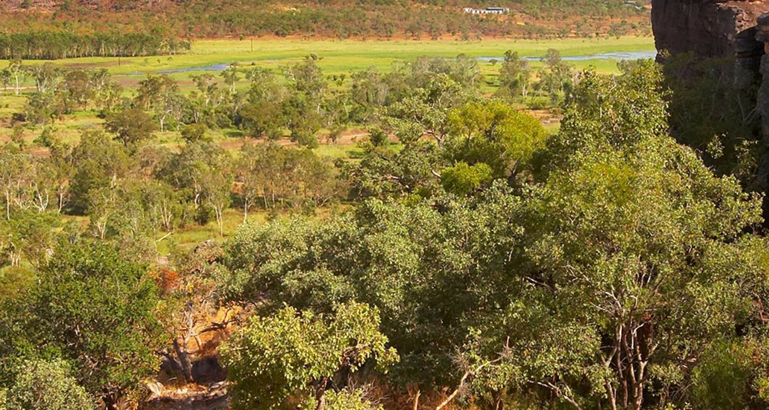 Explore Kakadu and Arnhemland (Short Break) for 2 days with AAT Kings and discover unforgettable experiences - Photo 2