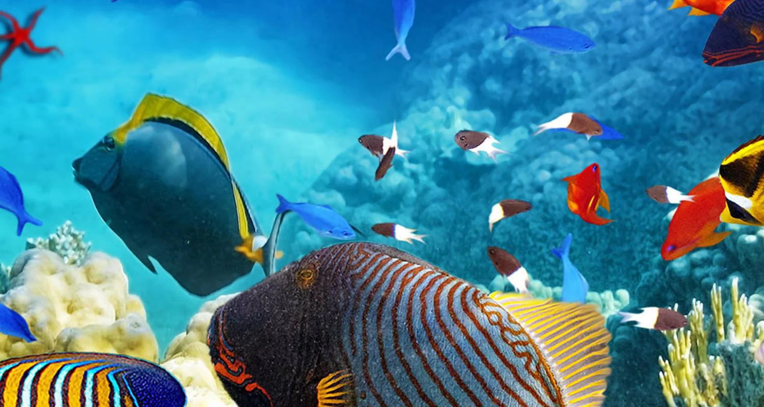 Explore Cairns and the Great Barrier Reef (Short Break) for 4 days with AAT Kings and discover unforgettable experiences - Photo 2