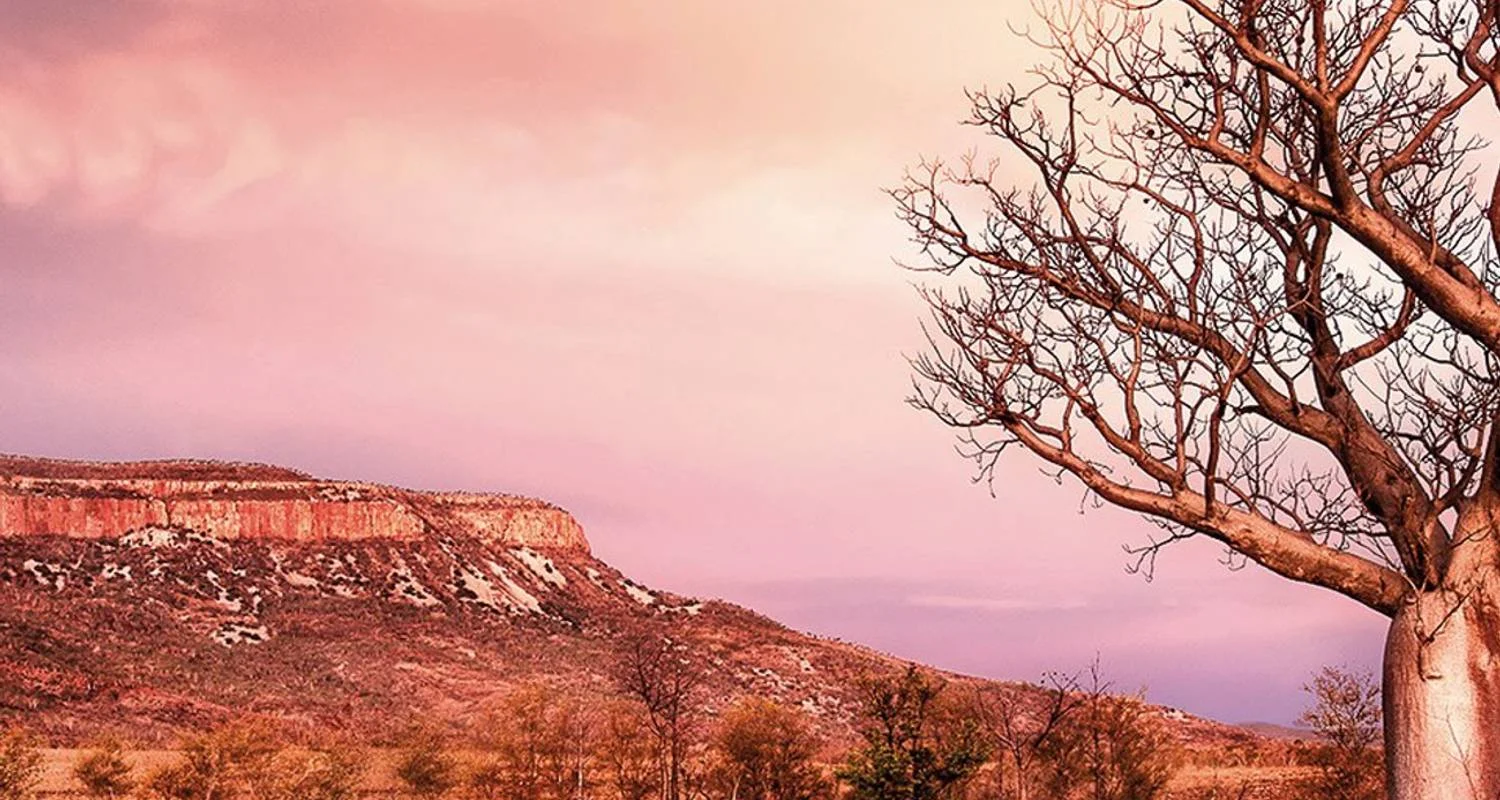 Explore Wonders of the West Coast and Kimberley (21 Days) for 21 days with AAT Kings and discover unforgettable experiences - Photo 2