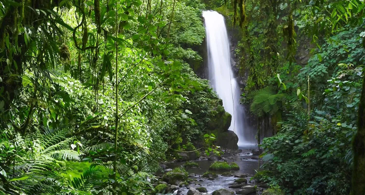 Explore Costa Rica Adventure for 7 days with Costsaver and discover unforgettable experiences - Photo 2