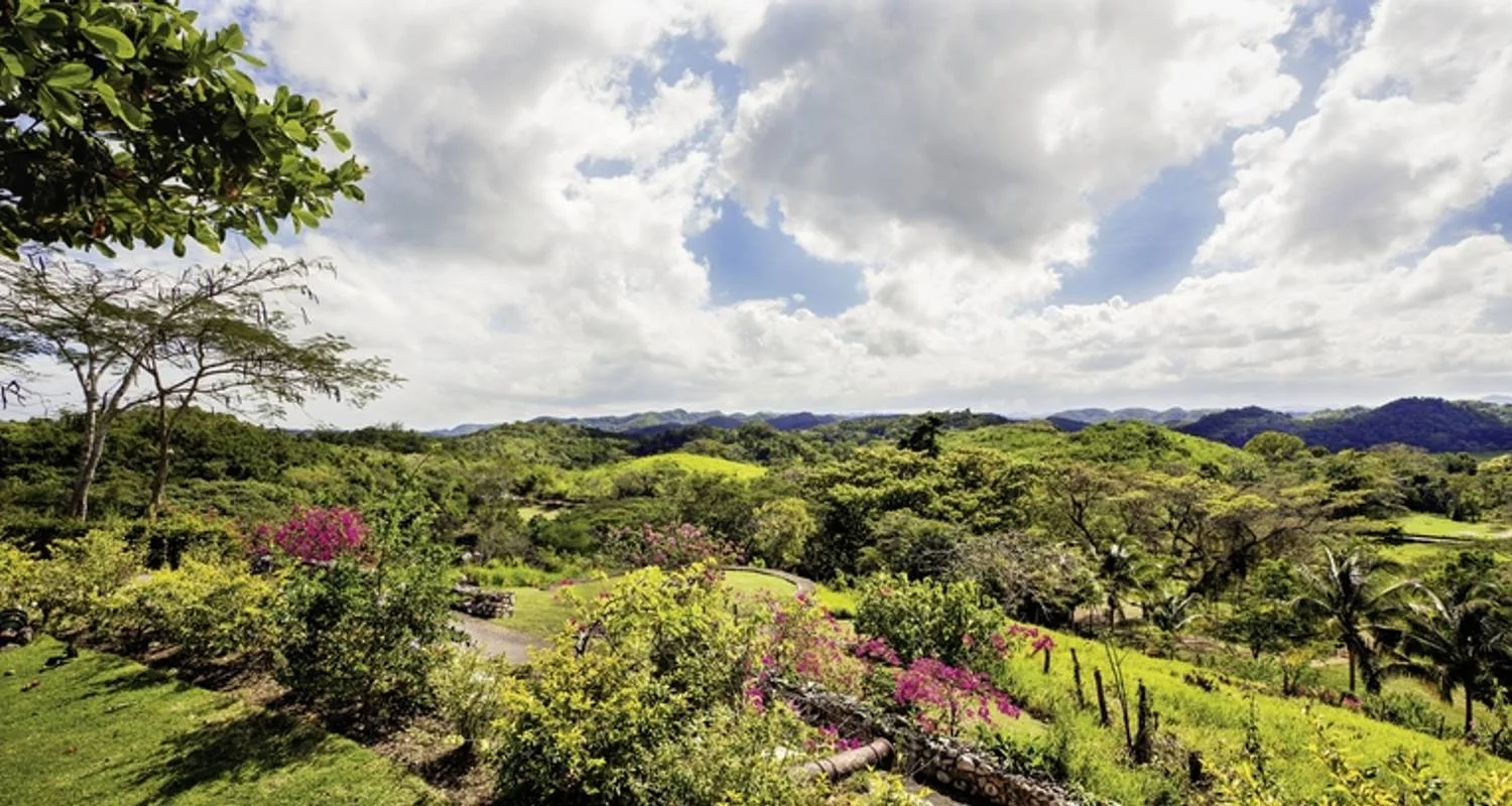 Explore Jamaica's colorful diversity for 10 days with MEIERS WELTREISEN and discover unforgettable experiences - Photo 2