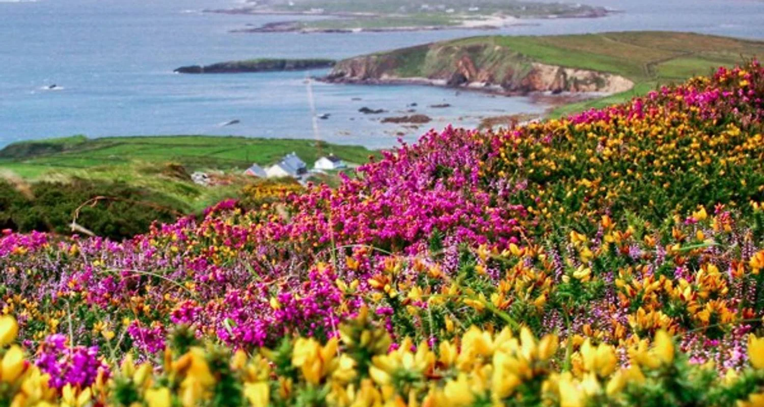 Explore Amazing Ireland - Signature for 14 days with Brendan Vacations and discover unforgettable experiences - Photo 2