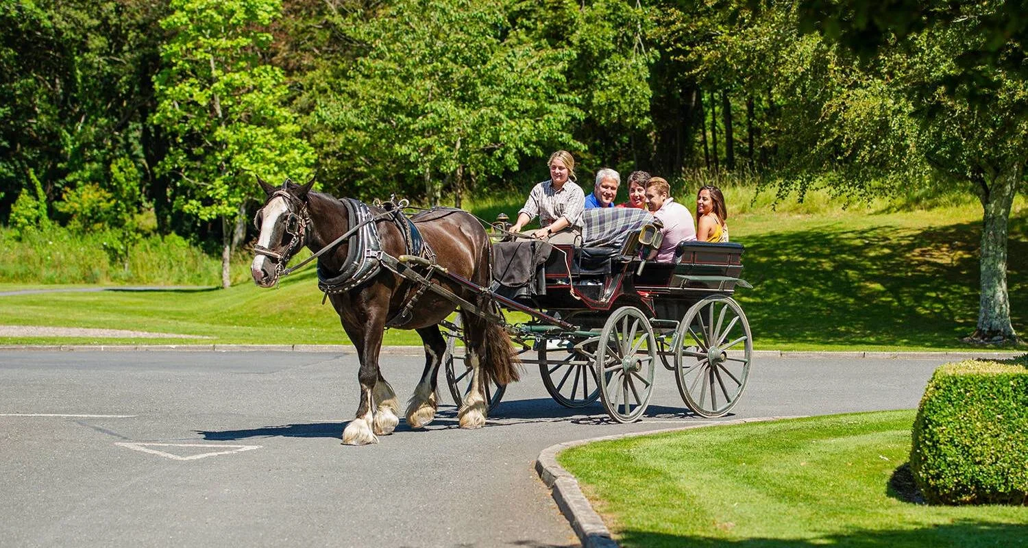 Explore Best of Ireland South (Tour A) - 8 Days/7 Nights for 8 days with CIE Tours and discover unforgettable experiences - Photo 2