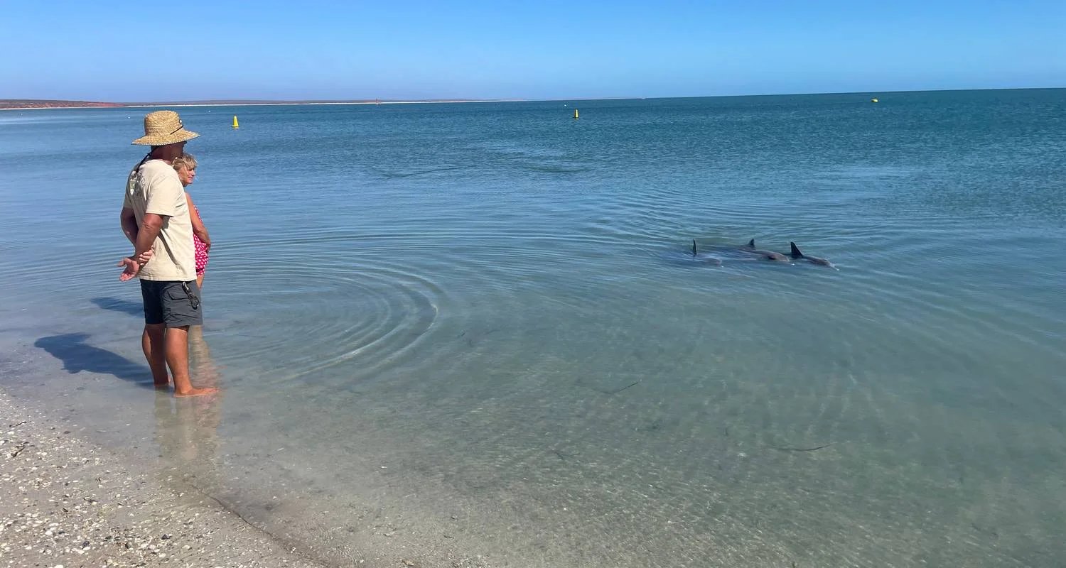 Explore 5 Night Perth to Exmouth Adventure for 6 days with Adventure Tours Australia and discover unforgettable experiences - Photo 2