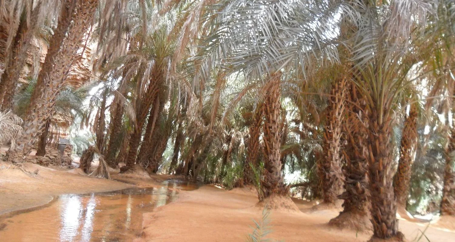 Explore Explore Mauritania – 8 days for 8 days with Continent Tours and discover unforgettable experiences - Photo 2