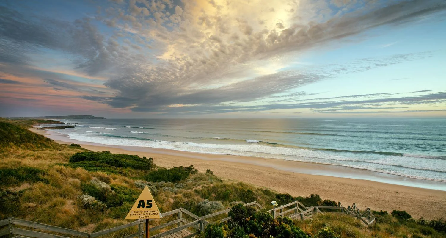 Explore Phillip Island Penguin Tour with Koala Conservation Experience for 1 days with Autopia Tours and discover unforgettable experiences - Photo 2