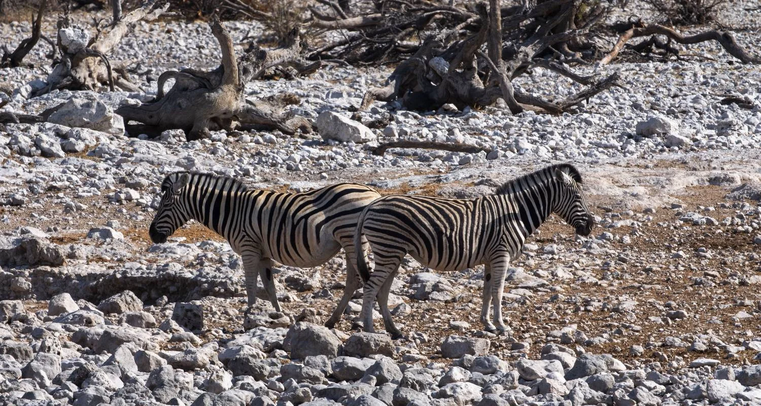Explore Liuwa, Kafue, South Luangwa NP- Exploring Zambia's Wilderness for 15 days with Adventure Purists Ltd. and discover unforgettable experiences - Photo 2
