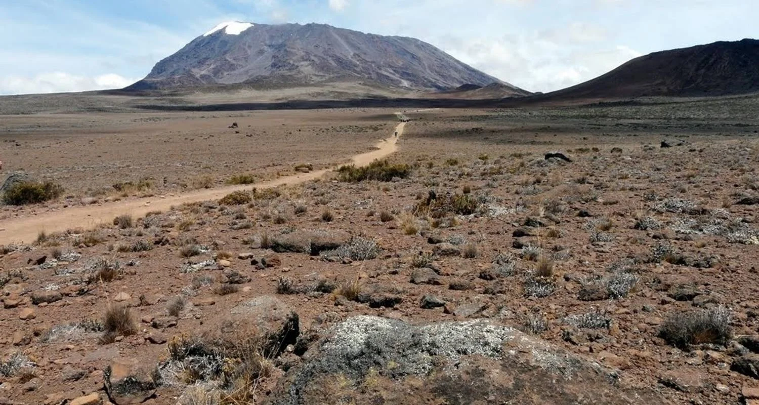 Explore Mount Kilimanjaro day hike tour for 1 days with Afrishare Trekking And Safaris and discover unforgettable experiences - Photo 2