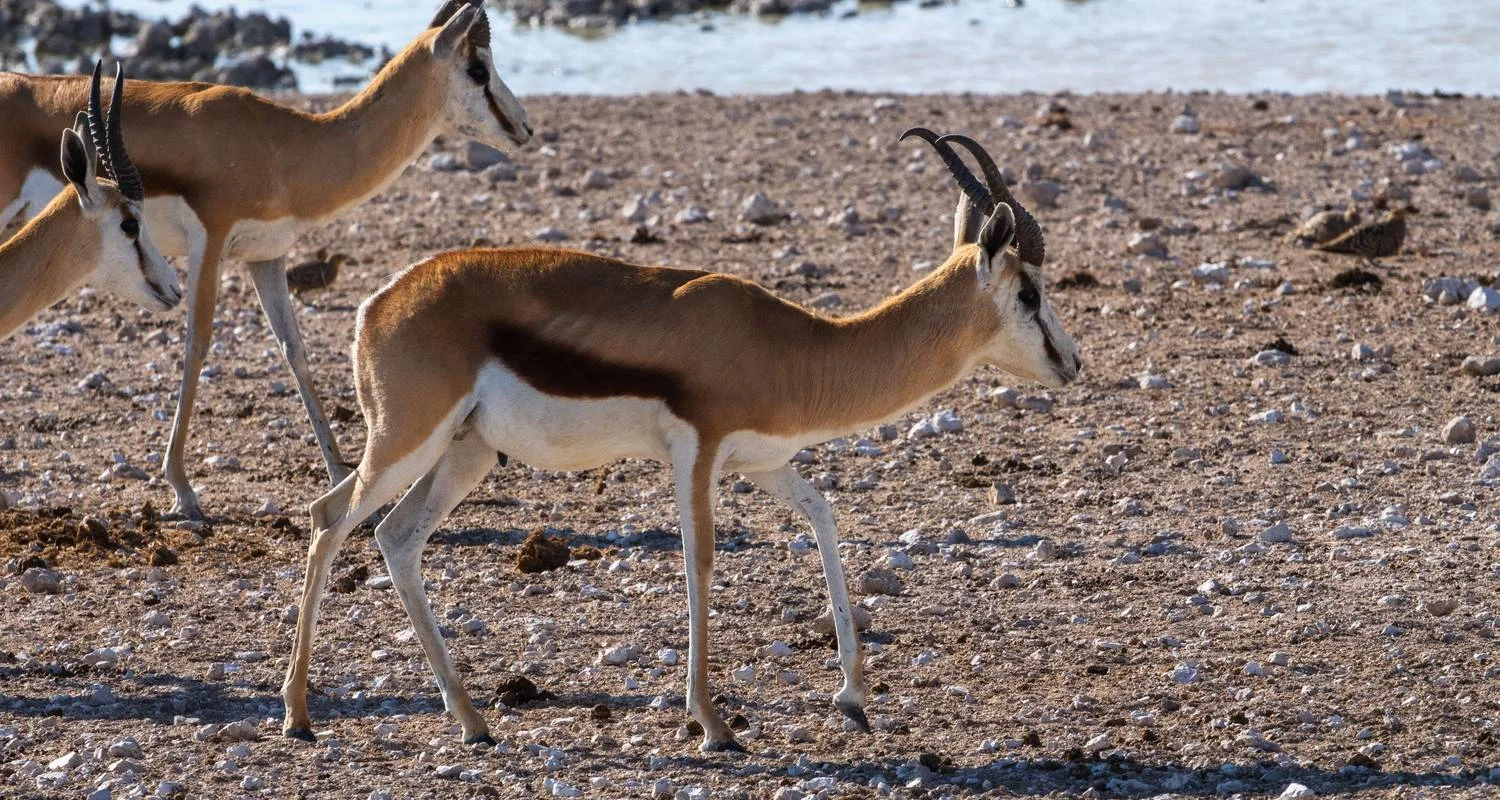 Explore The Best Adventure Tanzania Safari for 8 days with All Weather Adventures and discover unforgettable experiences - Photo 2