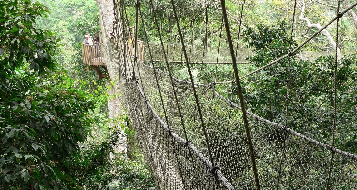 Explore The Best of Ghana - 12 Days for 12 days with Continent Tours and discover unforgettable experiences - Photo 2