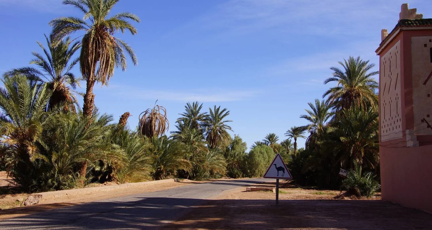 Explore Private 5 days  from Casablanca to Marrakech Visiting Chefchaouen, Fes & desert for 5 days with Cultural Morocco Tours and discover unforgettable experiences - Photo 2