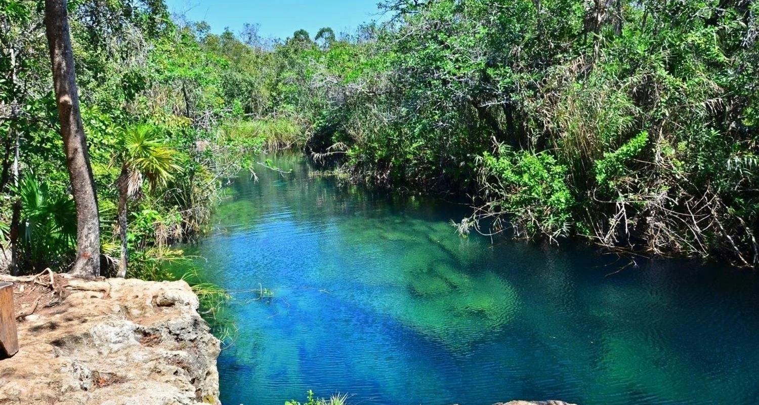 Explore Wonders of the Maya for 8 days with Destination Services Mexico and discover unforgettable experiences - Photo 2