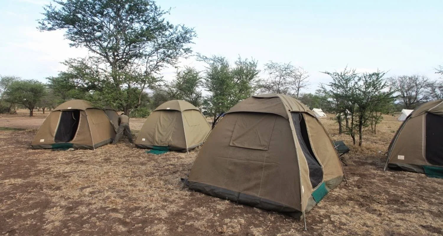 Explore 5 Days Tanzania Private Camping Safari for 5 days with Exodus African Safari and discover unforgettable experiences - Photo 2